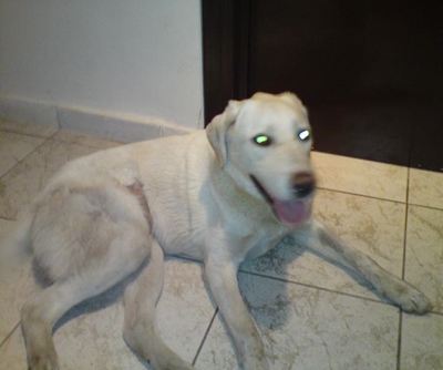 Μήπως το χάσατε;